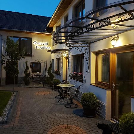 Conacul Poetilor Hotel Gura Raului Bagian luar foto