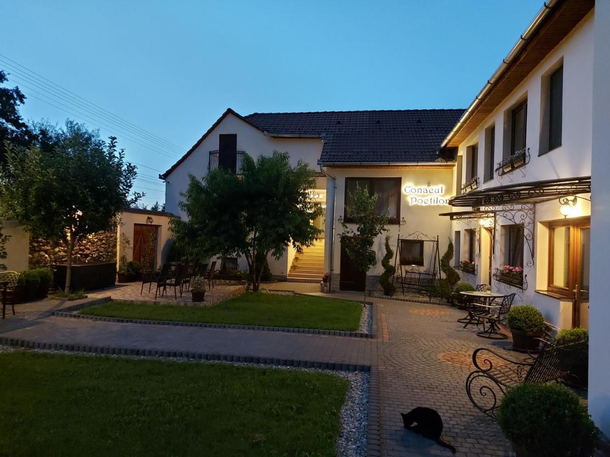 Conacul Poetilor Hotel Gura Raului Bagian luar foto